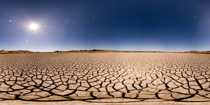 Rangeland Restoration on Desertification