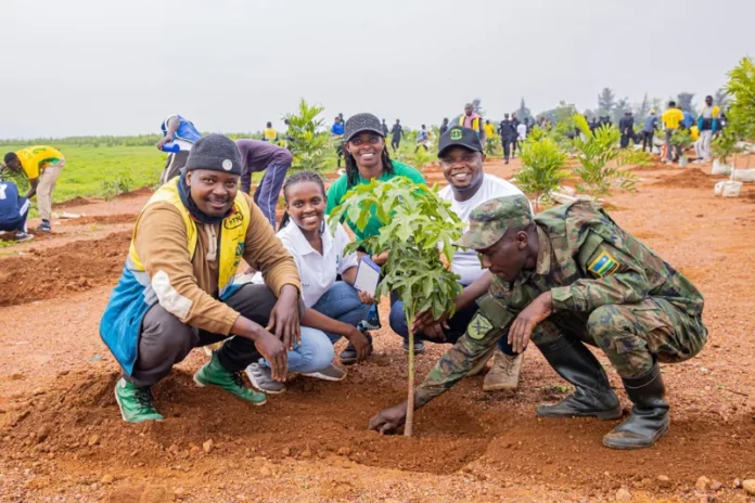 South Africa Launches Ambitious Tree