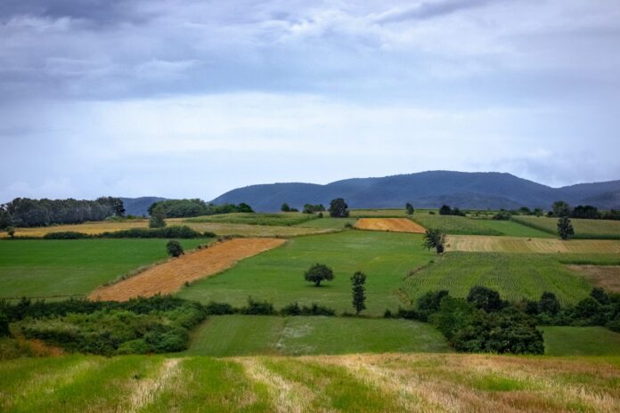 The contentious issue of land expropriation