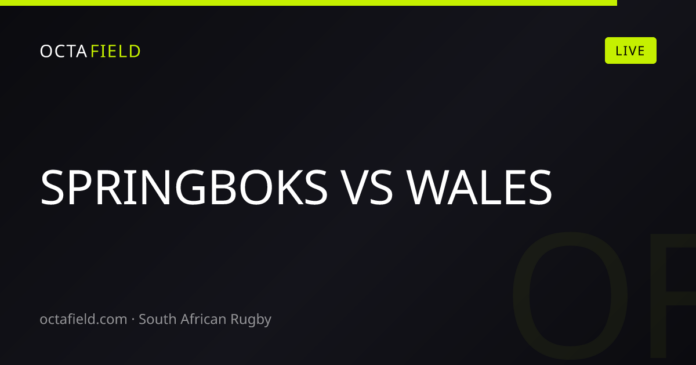 South Africa’s Springboks