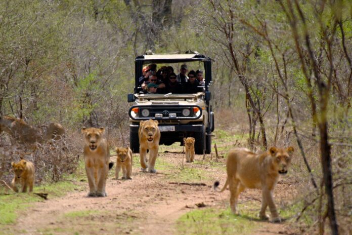 South Africa’s Tourism