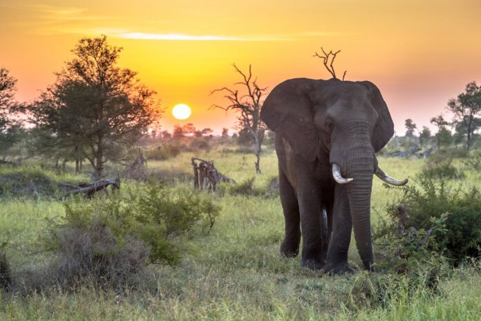 South Africa’s tourism hotspots