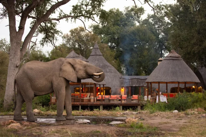 August 2026 has emerged as a landmark month for South Africa’s tourism and hospitality industry
