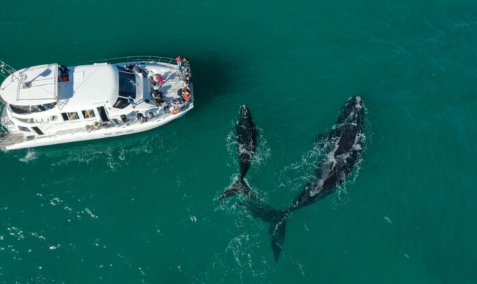 South Africa’s August Travel Highlights