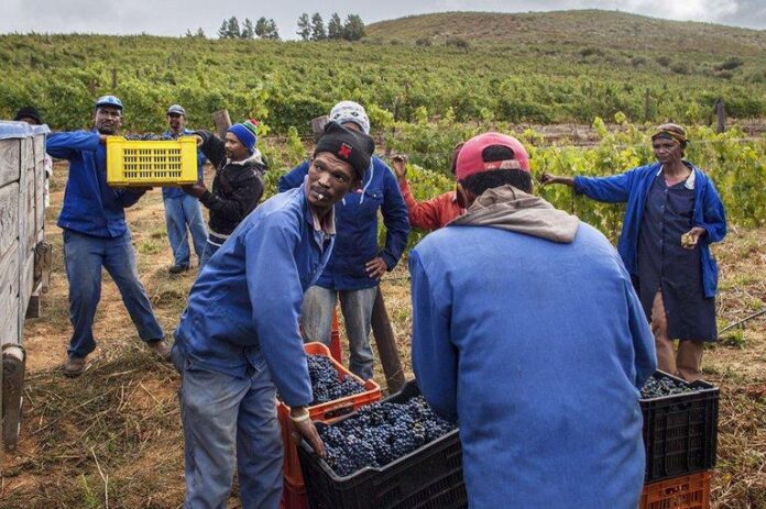 South Africa's Department of Land Reform