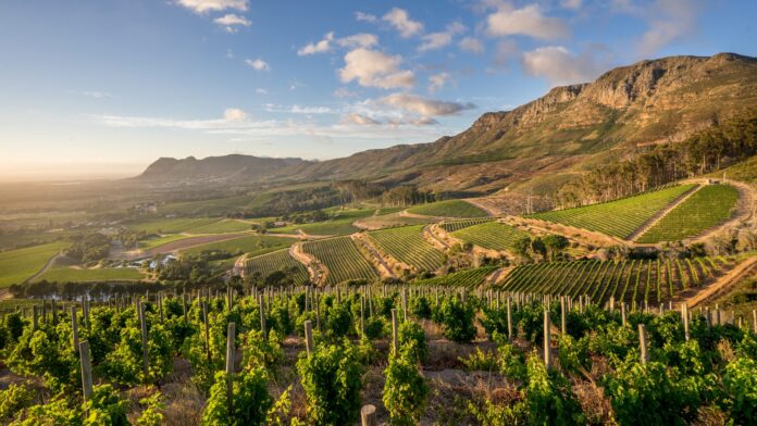 South Africa’s property market entered September 2026 with renewed vigor, defying inflationary pressures and global economic uncertainty.