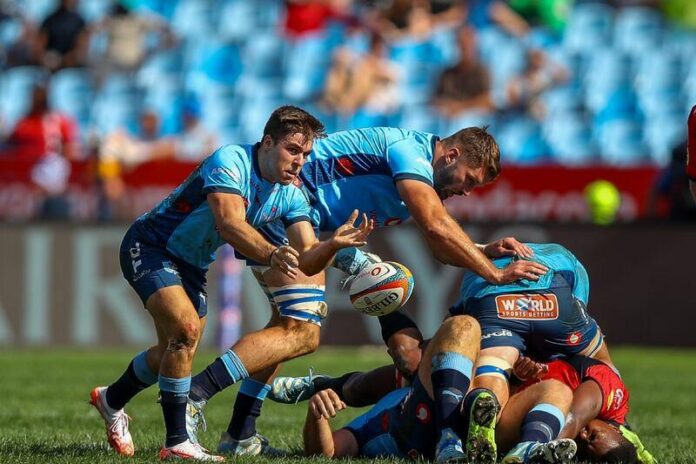 Bulls overpower Lions