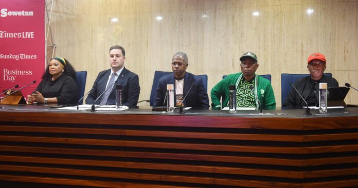 Johannesburg’s mayoral candidates