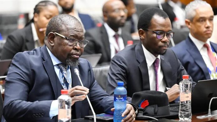 South Africa’s Financial and Fiscal Commission