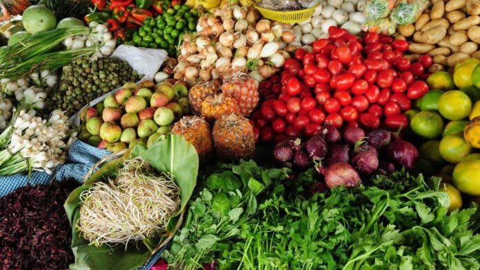 South Africa’s Nutrition Crisis