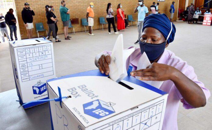 local government elections